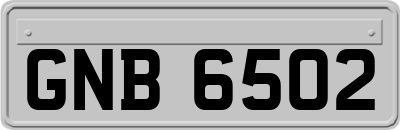 GNB6502