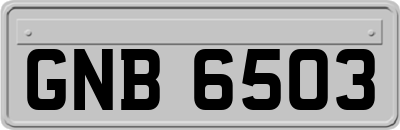 GNB6503