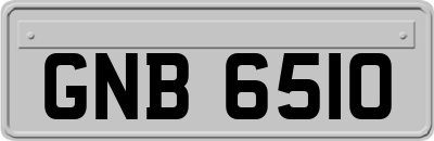 GNB6510