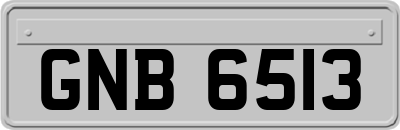 GNB6513