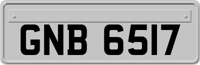 GNB6517