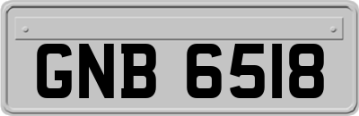 GNB6518