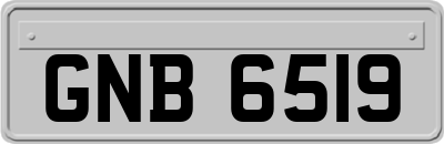 GNB6519