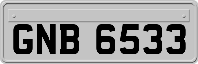 GNB6533