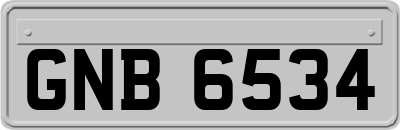 GNB6534