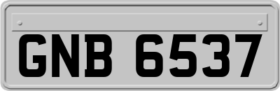 GNB6537