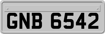 GNB6542