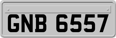 GNB6557