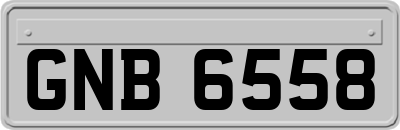 GNB6558