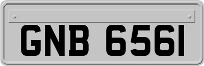 GNB6561
