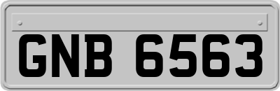 GNB6563