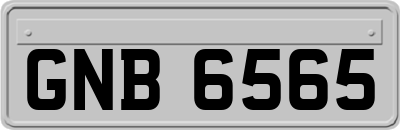 GNB6565