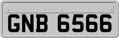 GNB6566