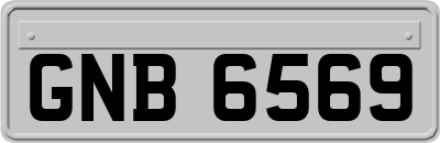 GNB6569
