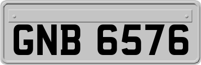GNB6576