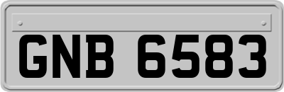 GNB6583