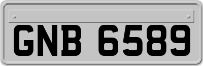 GNB6589