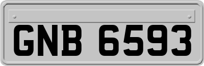 GNB6593