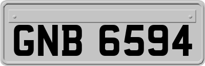 GNB6594