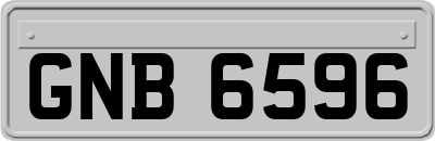 GNB6596