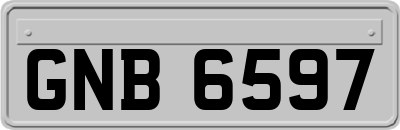 GNB6597