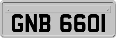 GNB6601