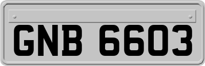 GNB6603