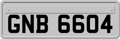 GNB6604