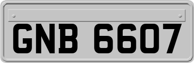 GNB6607