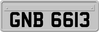 GNB6613
