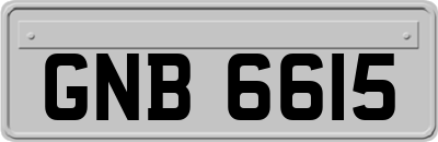 GNB6615