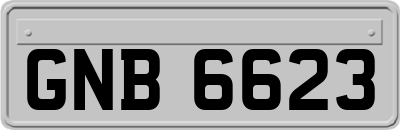 GNB6623
