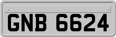 GNB6624