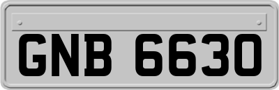 GNB6630