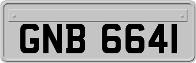 GNB6641