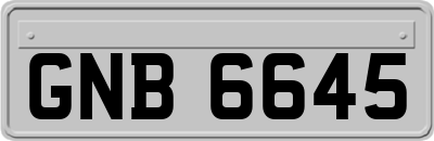 GNB6645
