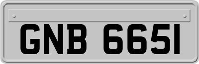 GNB6651