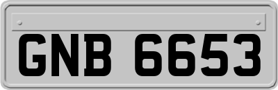 GNB6653