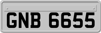 GNB6655
