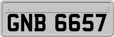 GNB6657