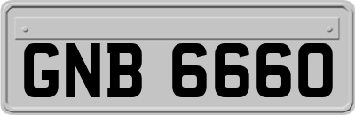 GNB6660