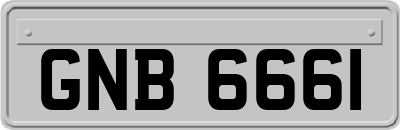 GNB6661