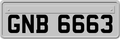 GNB6663