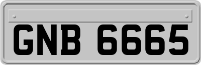 GNB6665