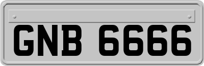 GNB6666