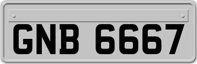 GNB6667