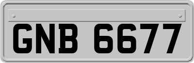 GNB6677