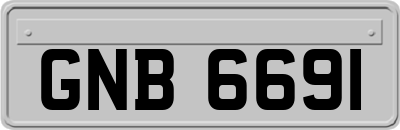 GNB6691