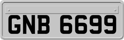 GNB6699