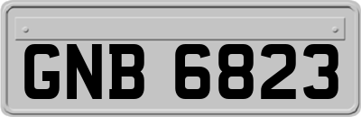 GNB6823